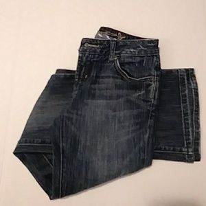 American Eagle Outfitters "Hipster" Jeans